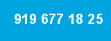 919 677 18 25